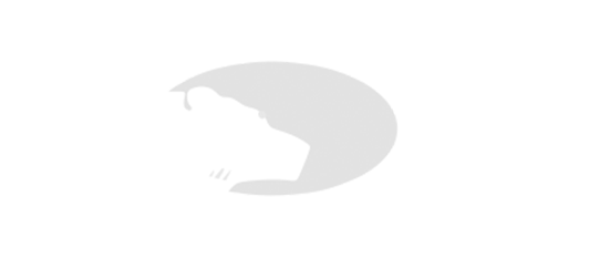 00003